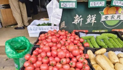 昆明市场价格大幅下跌！这道家常菜又可以天天吃了