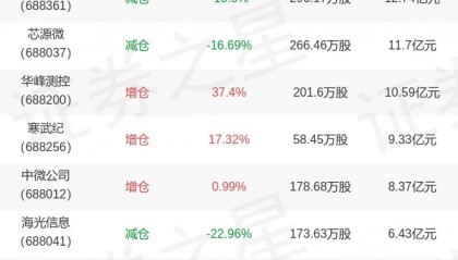 工银瑞信基金马丽娜旗下工银新兴制造A中报最新持仓，重仓中科飞测