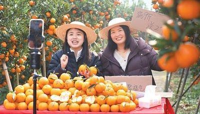 消费市场新意浓（锐财经）