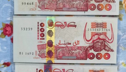 马尔代夫的货币(马尔代夫的货币和美金汇率)