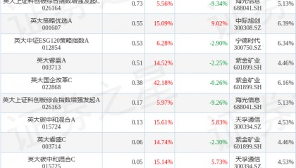 张媛2026年一季度表现，英大策略优选A基金季度涨幅9.02%