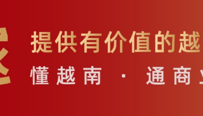数字货币的实验场：越南金融数字化的隐忧与雄心