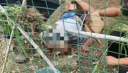 济南一女子因导航失误迷路，意外在玉米地旁救下昏迷老人