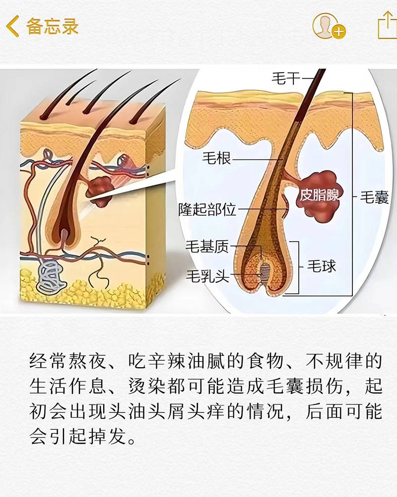 头屑比较多用什么洗发水??无屑社交货币