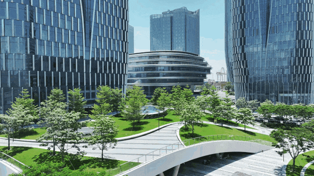APEC官网首页看宝安：山海间的城市国际新客厅