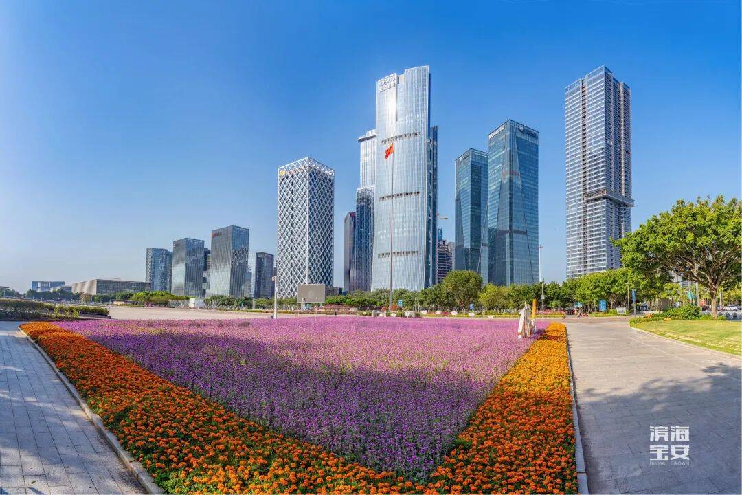 APEC官网首页看宝安：山海间的城市国际新客厅