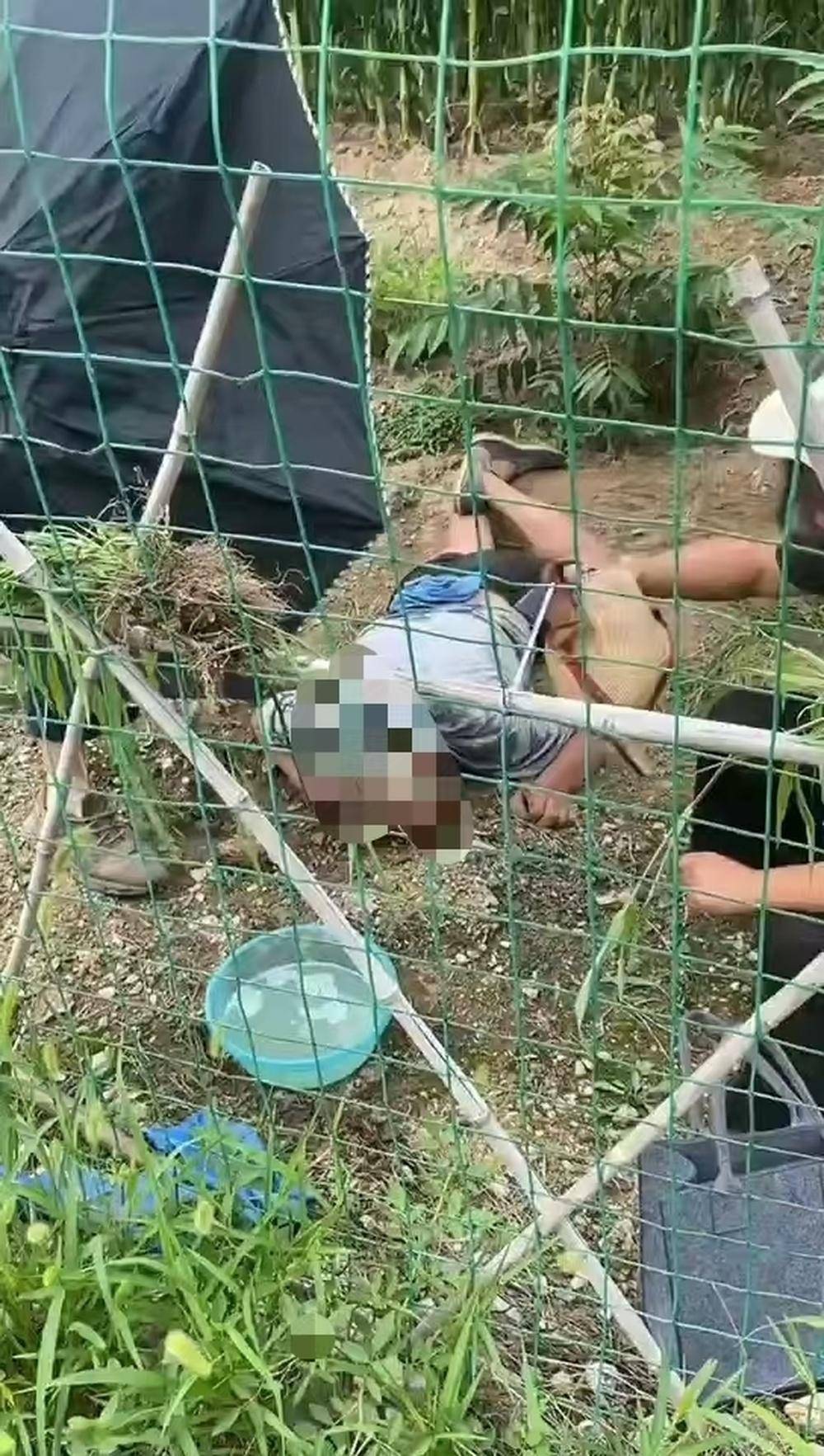 济南一女子因导航失误迷路，意外在玉米地旁救下昏迷老人